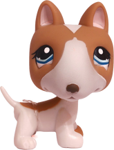 #1095 Bull Terrier